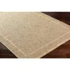 Artistic Weavers Mirage Cottage Solid Indoor/Outdoor Area Rug